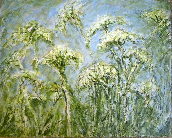 Queen Ann's Lace